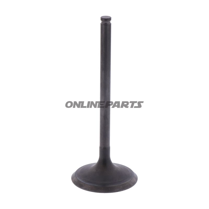 Outlet Valve (Orig Spare Part)