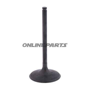 Intake Valve (Orig Spare Part)