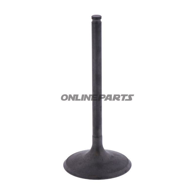 Intake Valve (Orig Spare Part)
