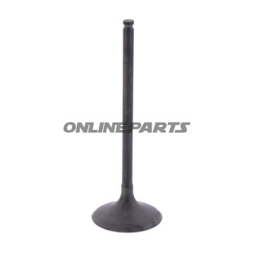 Intake Valve (Orig Spare Part)