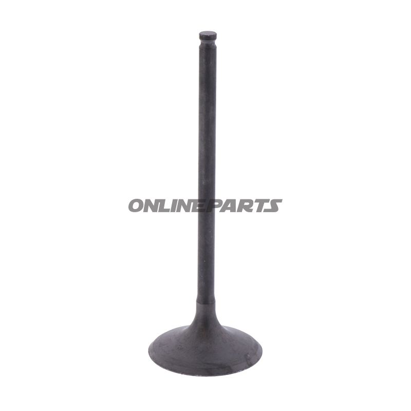 Intake Valve (Orig Spare Part)