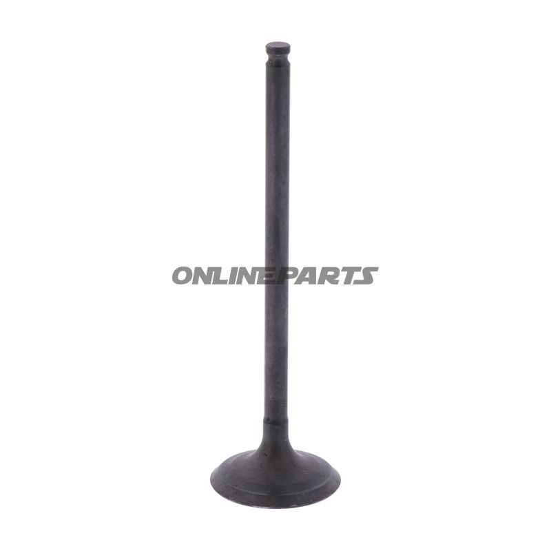 Outlet Valve (Orig Spare Part)