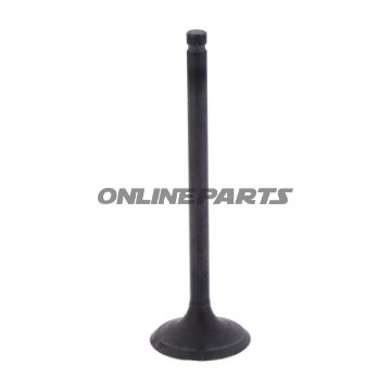 Outlet Valve (Orig Spare Part)