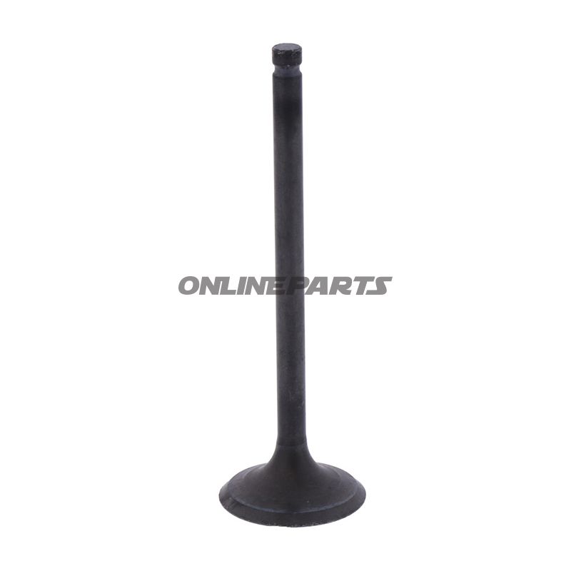 Outlet Valve (Orig Spare Part)