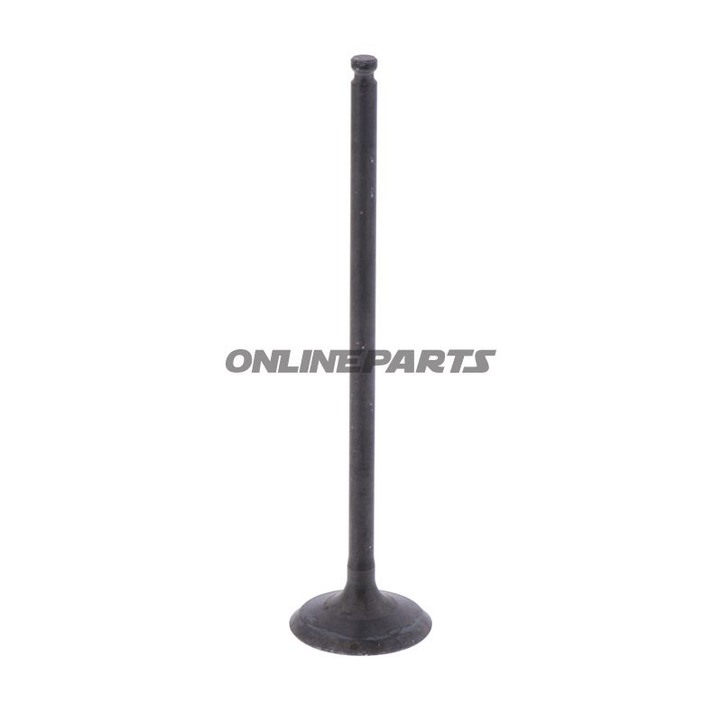 Outlet Valve (Orig Spare Part)