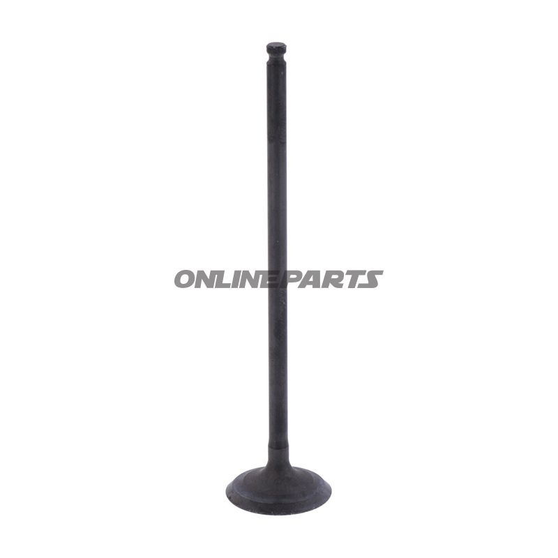Outlet Valve (Orig Spare Part)