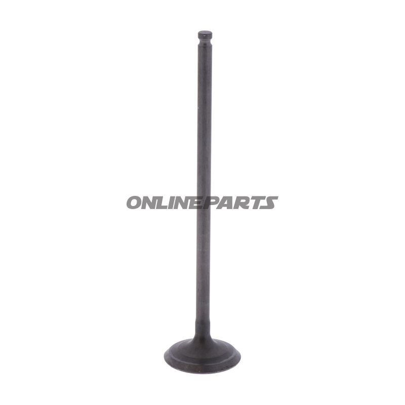 Outlet Valve (Orig Spare Part)