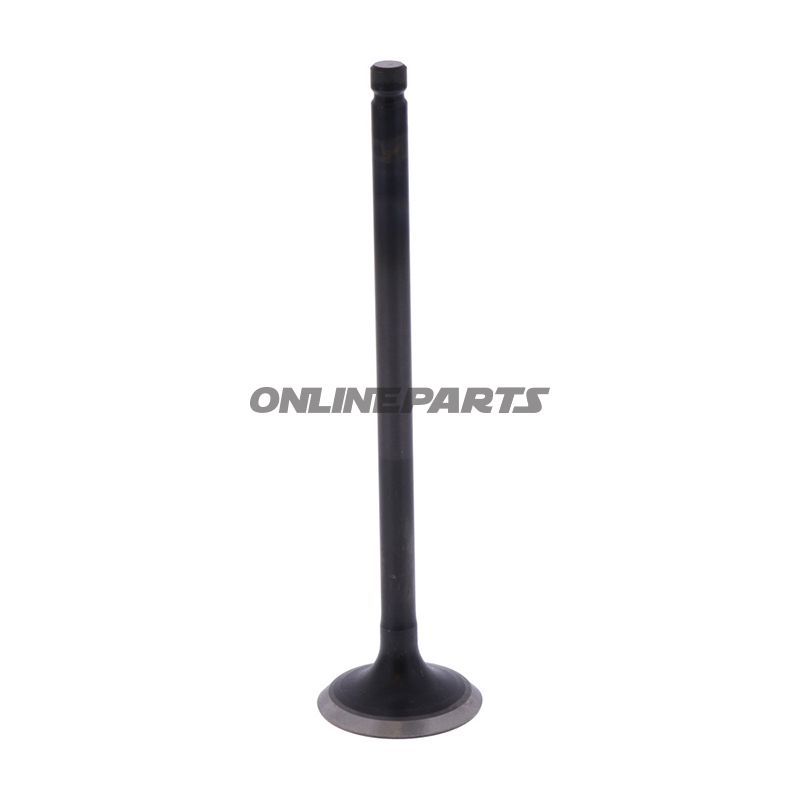 Outlet Valve (Orig Spare Part)
