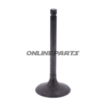 Intake Valve (Orig Spare Part)