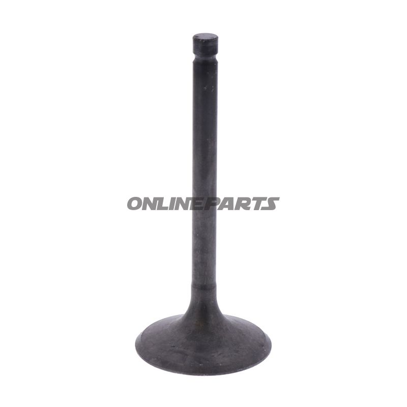 Intake Valve (Orig Spare Part)