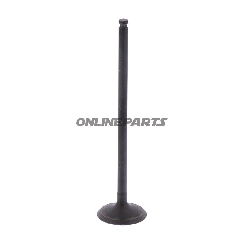 Outlet Valve (Orig Spare Part)