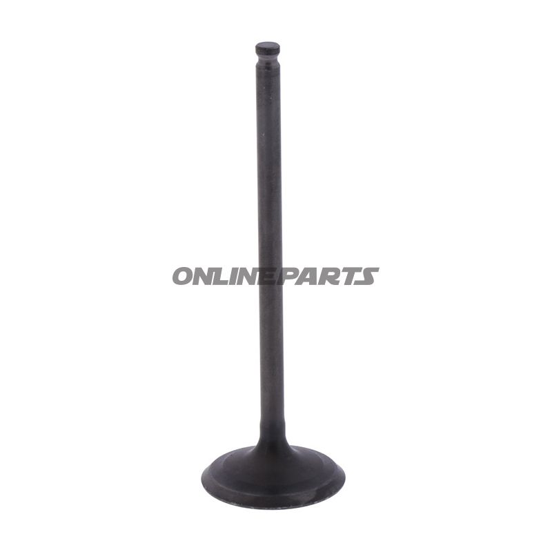 Outlet Valve (Orig Spare Part)