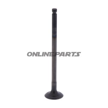 Intake Valve (Orig Spare Part)