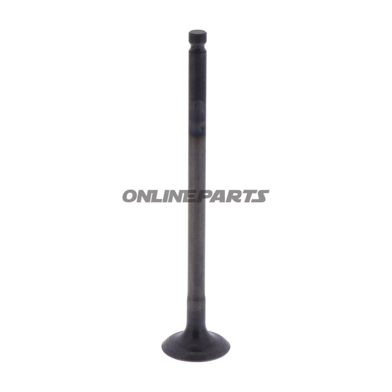 Intake Valve (Orig Spare Part)
