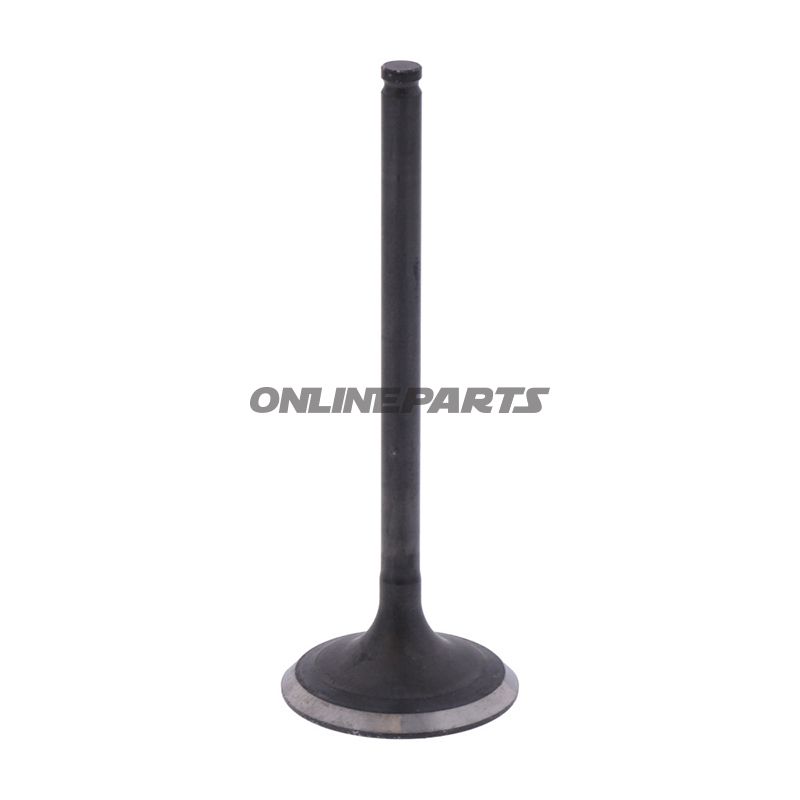 Outlet Valve (Orig Spare Part)