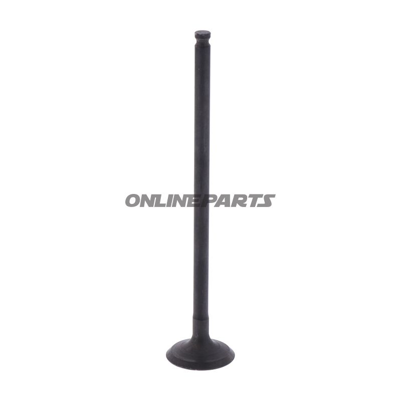 Outlet Valve (Orig Spare Part)