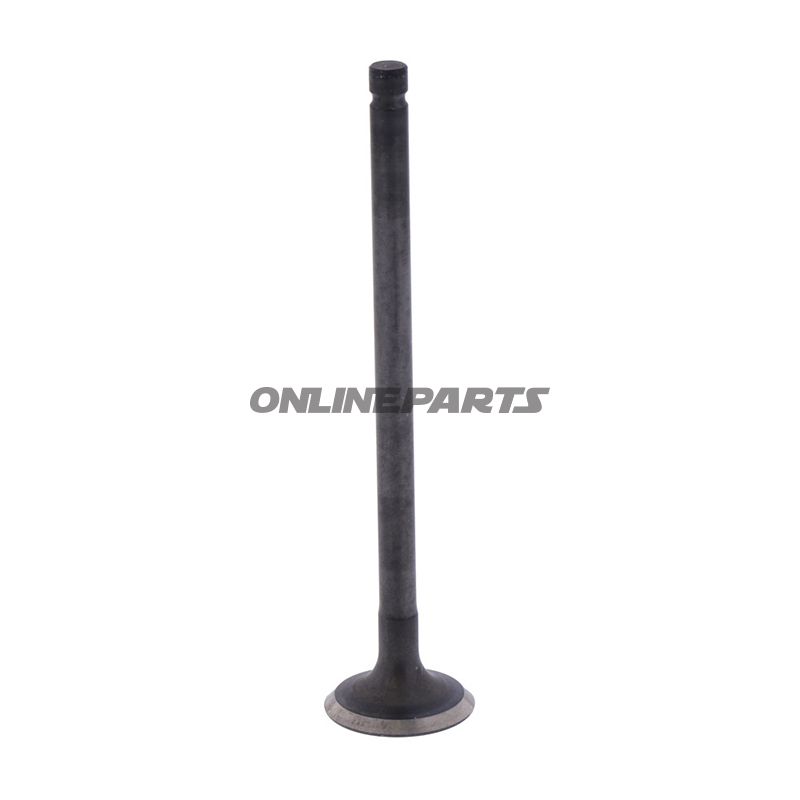 Outlet Valve (Orig Spare Part)