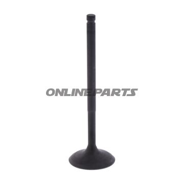 Intake Valve (Orig Spare Part)