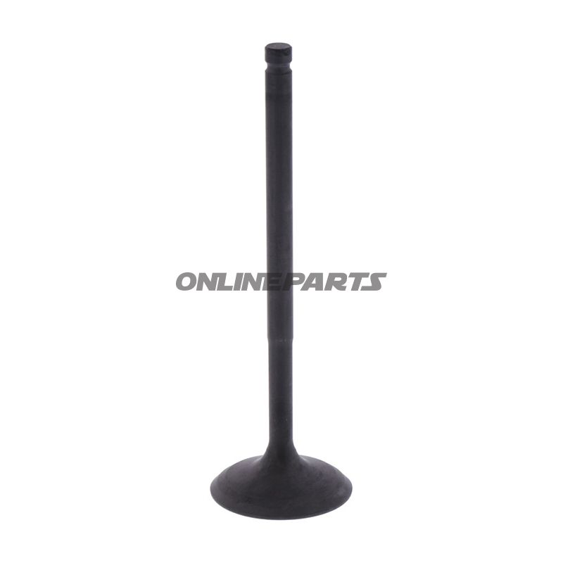 Intake Valve (Orig Spare Part)