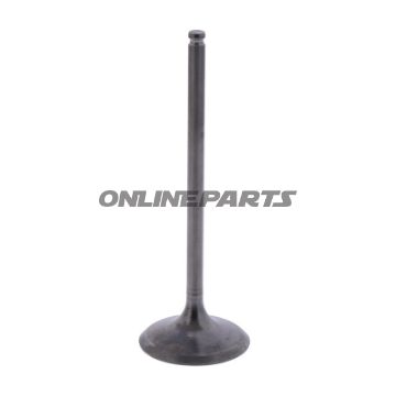 Intake Valve (Orig Spare Part)