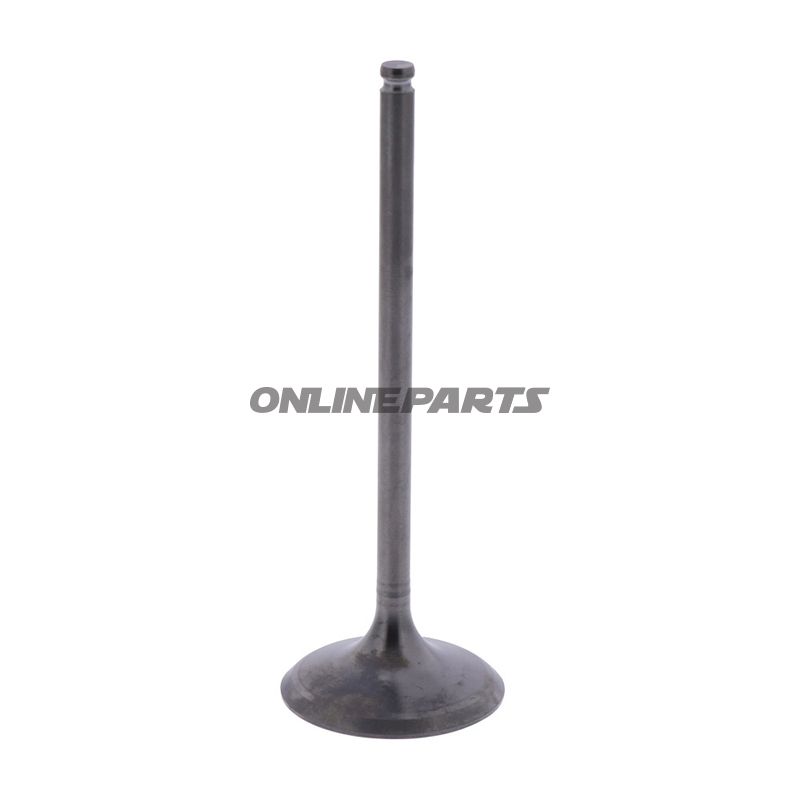 Intake Valve (Orig Spare Part)