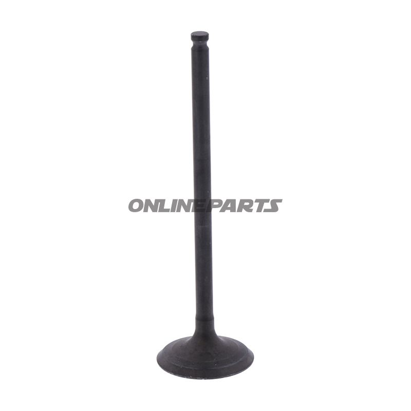 Outlet Valve (Orig Spare Part)