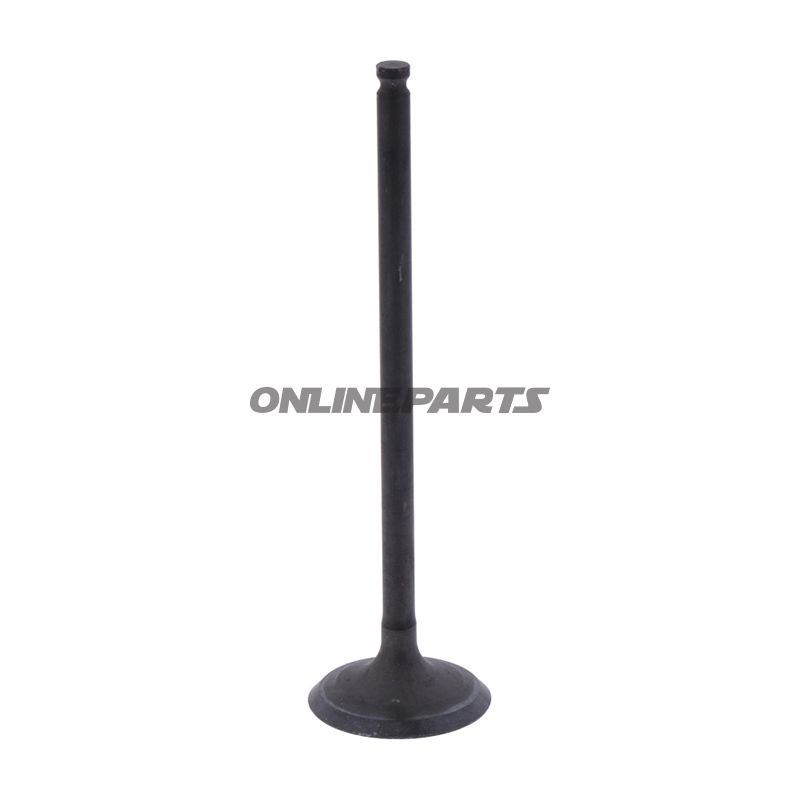Outlet Valve (Orig Spare Part)