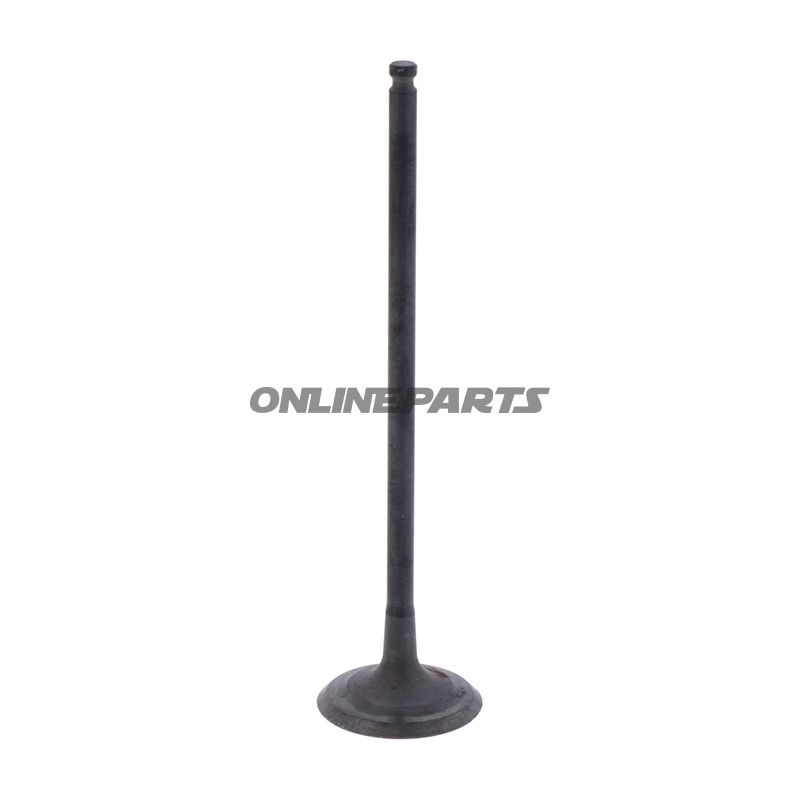 Outlet Valve (Orig Spare Part)