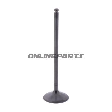 Intake Valve (Orig Spare Part)