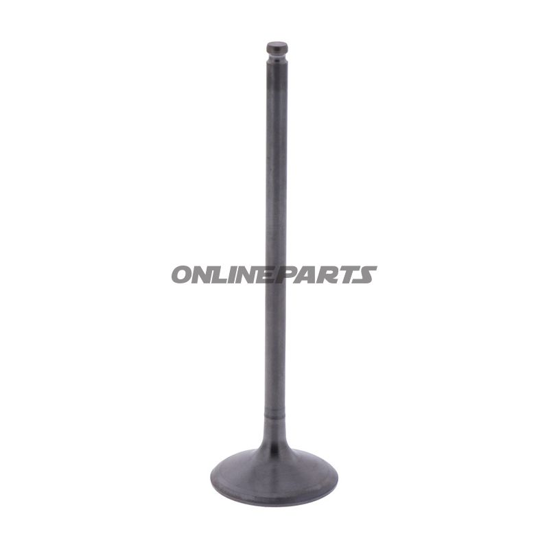 Intake Valve (Orig Spare Part)