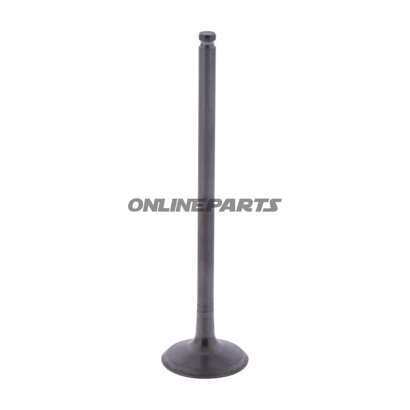 Outlet Valve (Orig Spare Part)