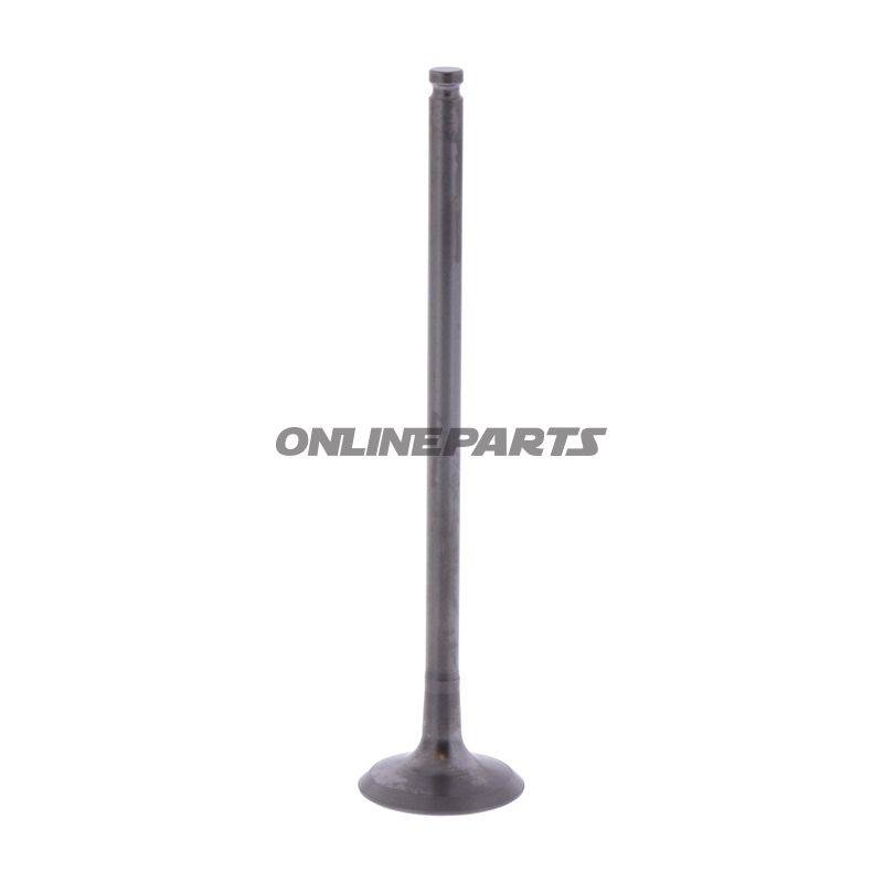 Outlet Valve (Orig Spare Part)