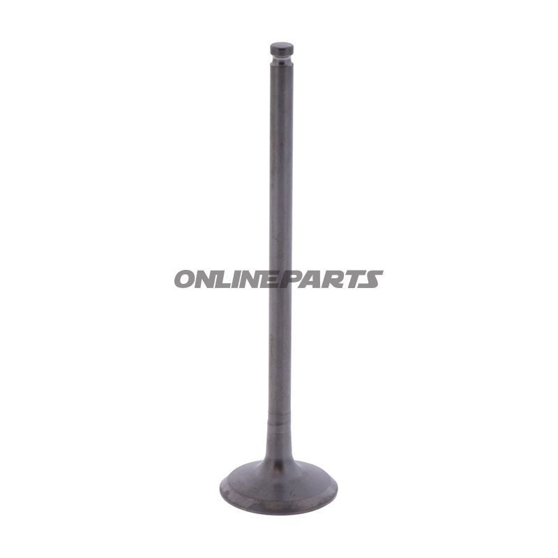 Outlet Valve (Orig Spare Part)