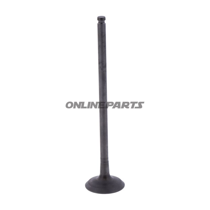 Outlet Valve (Orig Spare Part)