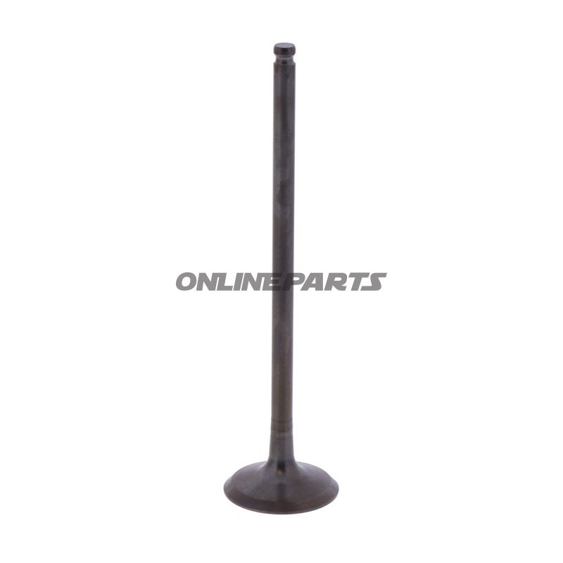 Outlet Valve (Orig Spare Part)