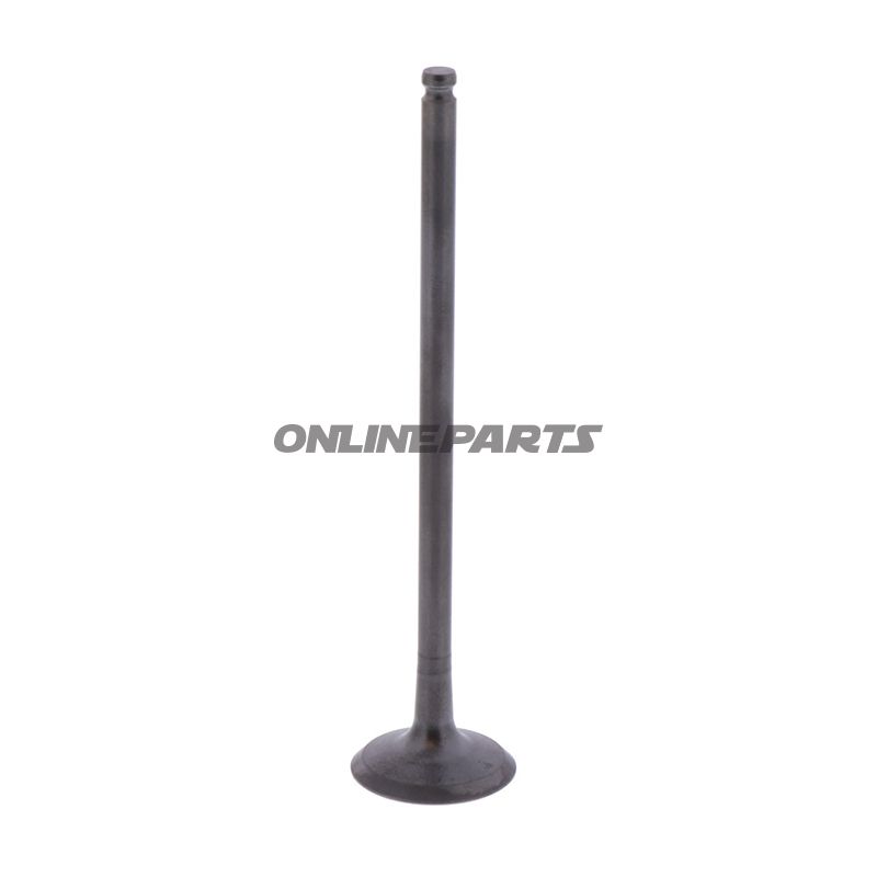 Outlet Valve (Orig Spare Part)