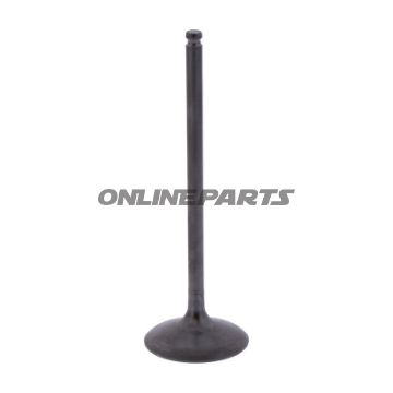 Intake Valve (Orig Spare Part)