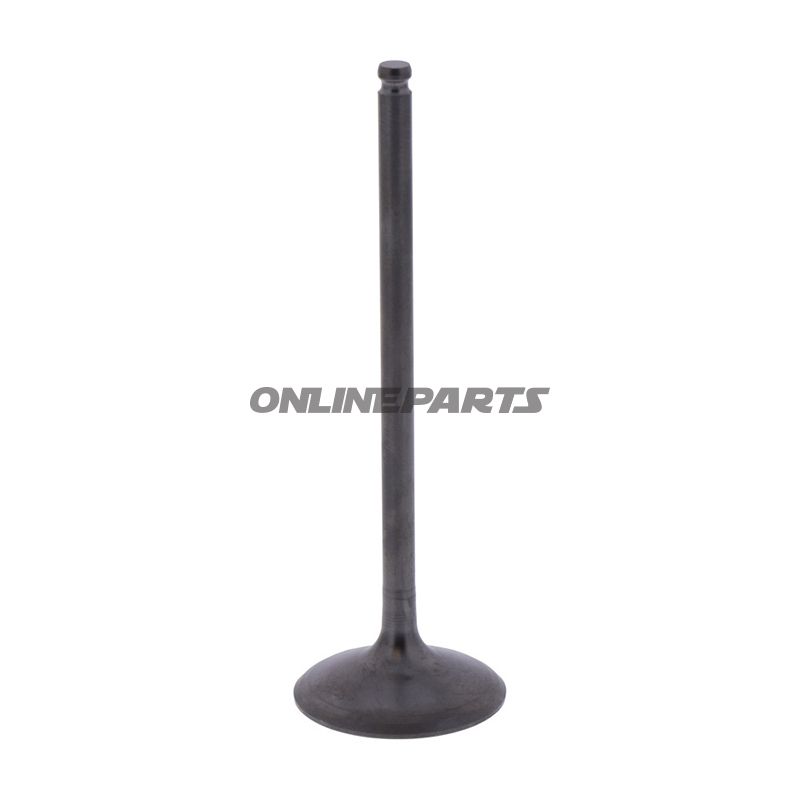 Intake Valve (Orig Spare Part)