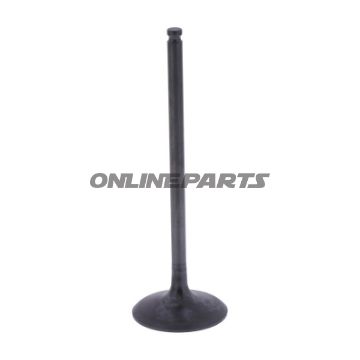 Intake Valve (Orig Spare Part)