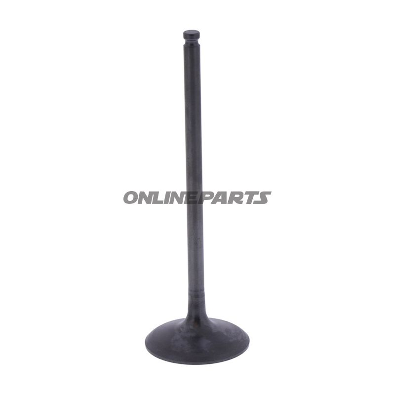 Intake Valve (Orig Spare Part)