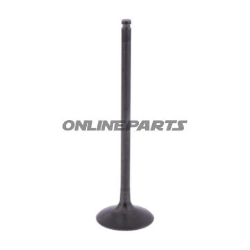 Intake Valve (Orig Spare Part)