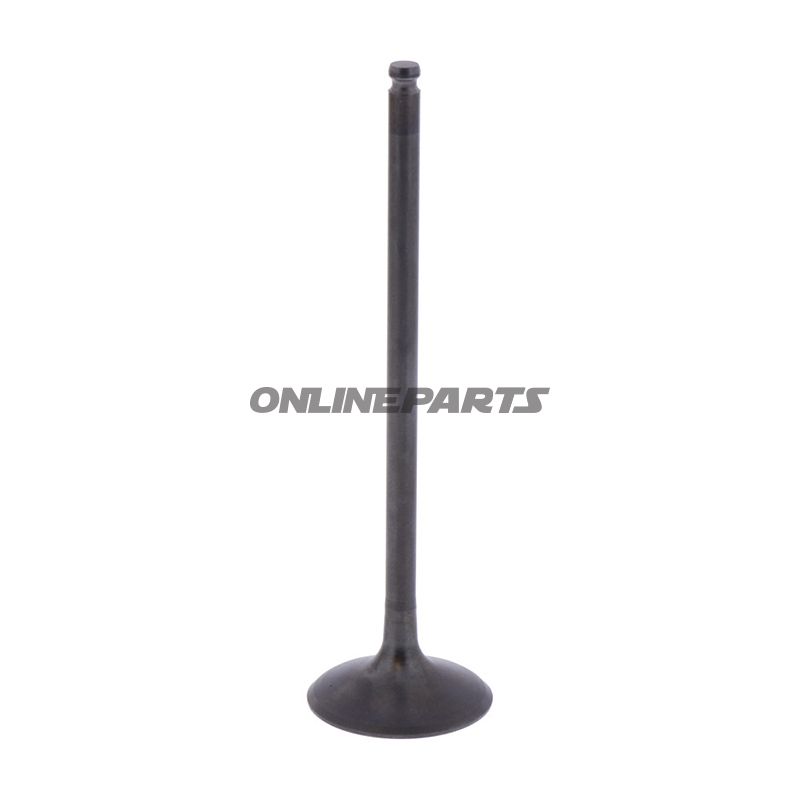 Intake Valve (Orig Spare Part)