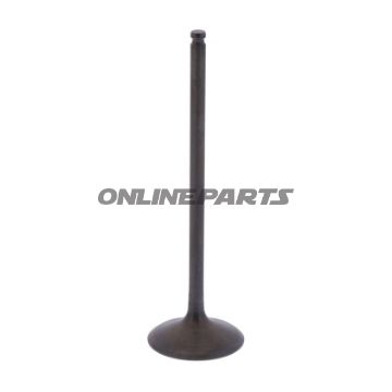Intake Valve (Orig Spare Part)