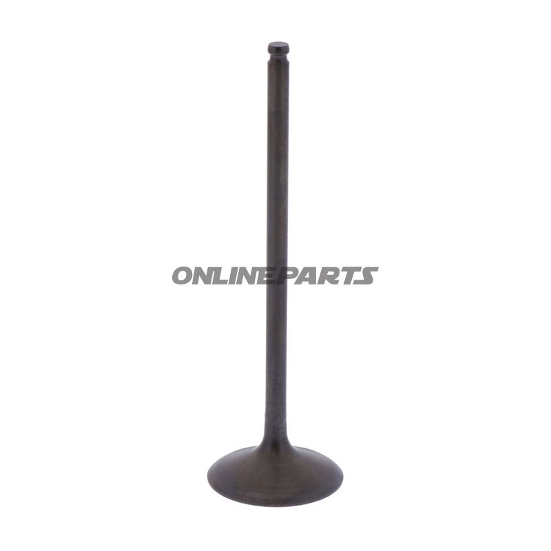Intake Valve (Orig Spare Part)