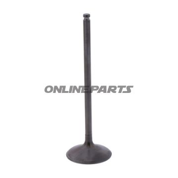 Intake Valve (Orig Spare Part)