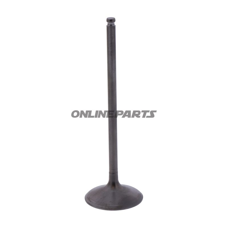 Intake Valve (Orig Spare Part)