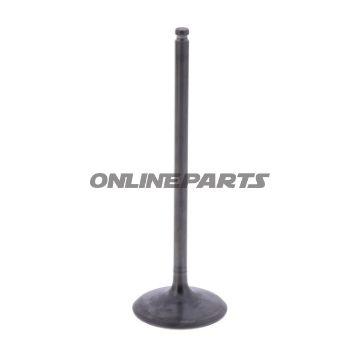 Intake Valve (Orig Spare Part)