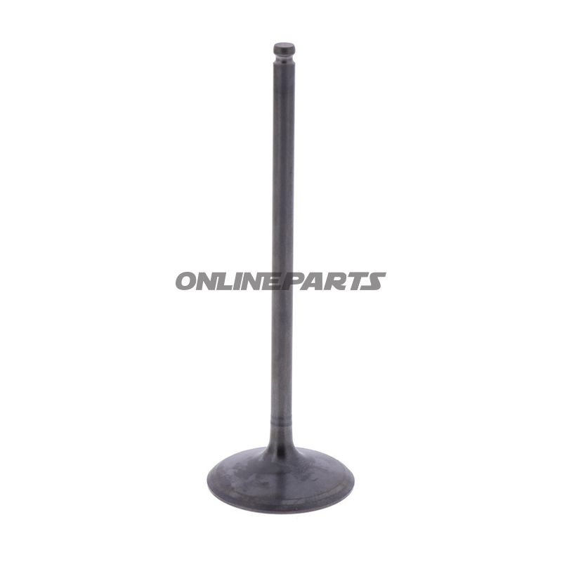 Intake Valve (Orig Spare Part)
