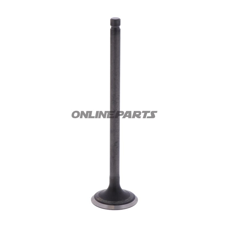 Outlet Valve (Orig Spare Part)