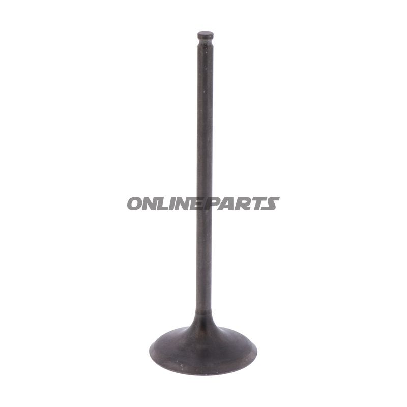 Intake Valve (Orig Spare Part)